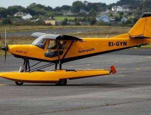 ICP Savannah S (Amphibian), EI-GYN. Frank Grealish
